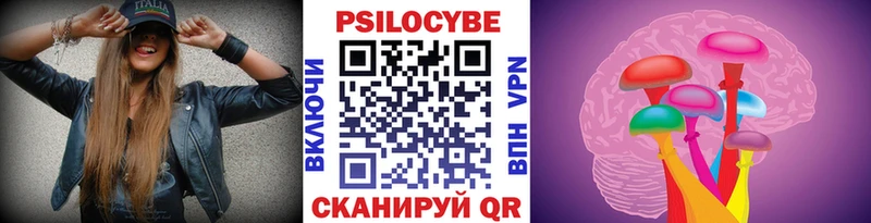 Псилоцибиновые грибы Psilocybine cubensis  магазин    Кириши 